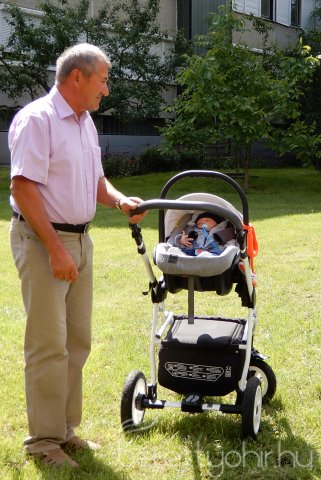 Életfát ültettünk 37